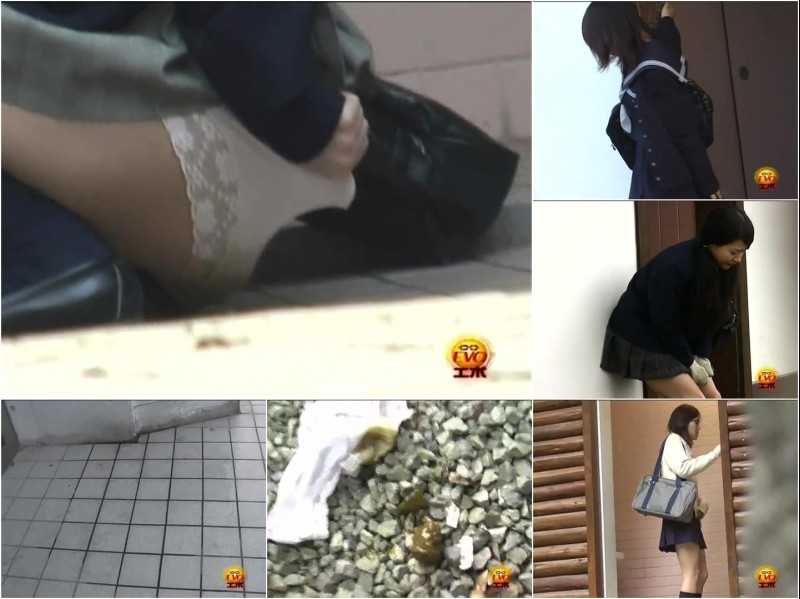 E42-02 | Schoolgirls disgraceful wetting and pantypooping in front of public lavatory. Part II