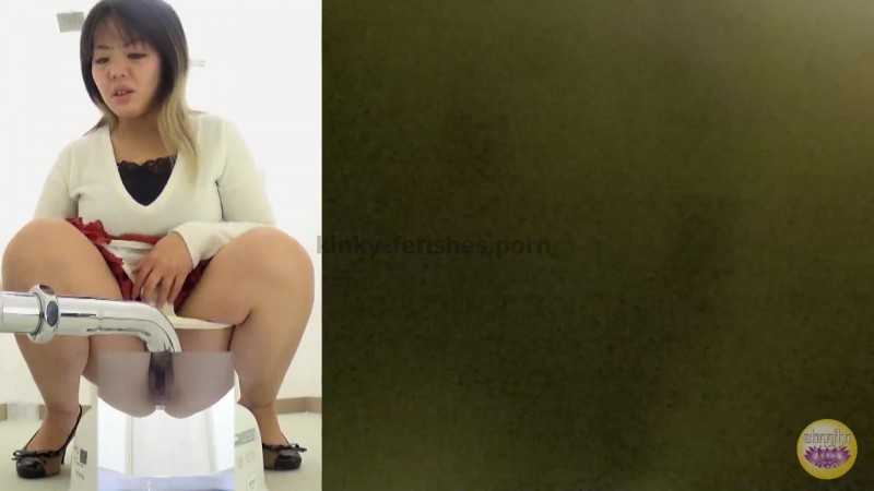 Porn online SL-148 | Horny female toilet scat. VOL.2 javfetish
