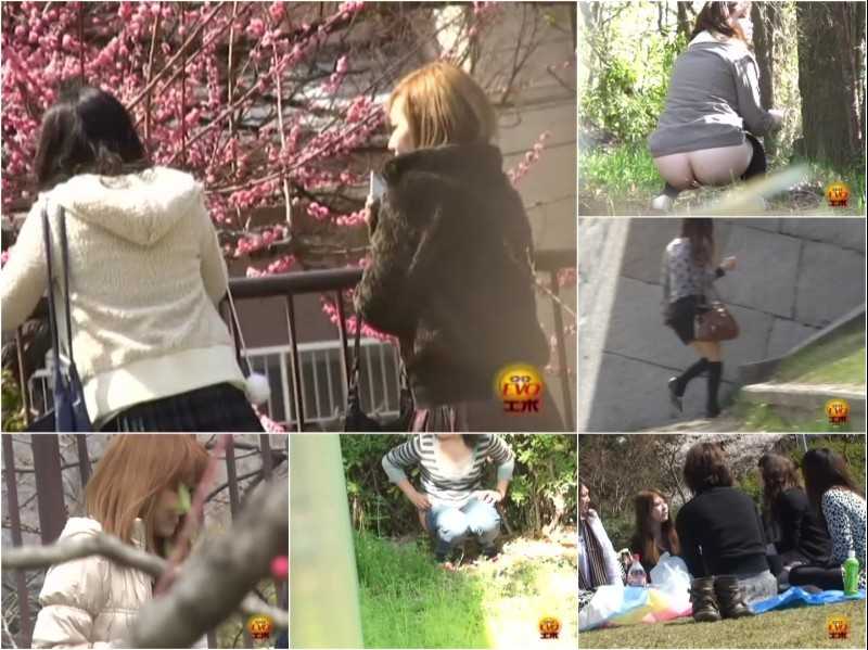 UNKW-025 | Outdoor voyeur: women pooping and peeing during picnic in the public park.